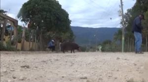 Denuncian que después de Balaguer en Puerto Escondido de Duvergé no han construido obras 