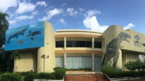 Embajada de Italia y Museo de Historia Natural realizarán conferencia sobre sismos