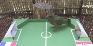 Loro predice quién ganará Mundial Rusia 2018