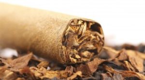 Exposición al tabaquismo pasivo hace que puedas desarrollar cáncer nariz