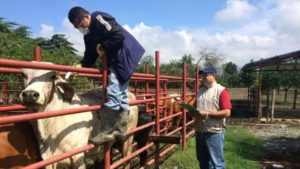 la medida implica la paralización del intercambio comercial de productos de origen animal donde las autoridades detectaron un brote