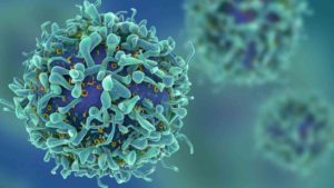La técnica de inmunoterapia, nuevo método para luchar contra el cáncer