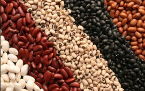 Conoce diez alimentos altos en proteínas que debes comer si quieres perder peso