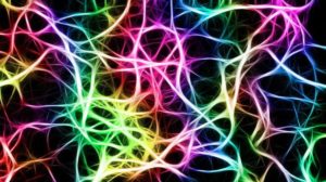 Producen un chip que imita el cerebro humano y “razona” a la velocidad de la luz