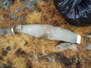 Hawái: al menos nueve personas mueren al estrellarse una avioneta 