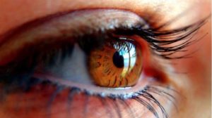 Conoce la diferencia entre glaucoma y catarata