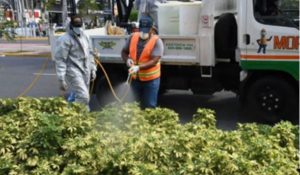 Obras Públicas prosiguió este miércoles operativo desinfección en la capital