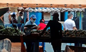 Un hombre con tapabocas compra naranjas en un agromercado en la Habana (Cuba). EFE/ Ernesto Mastrascusa/Archivo