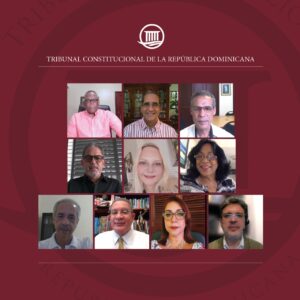 TC decide sobre doce expedientes vía virtual