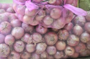 Productores de San Juan agradecen intervención Agricultura para elevar productividad de la cebolla y otros rubros