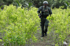 Colombia celebra certificación de EE.UU. en la lucha contra el narcotráfico