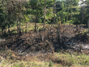 zona protegida en Sabana Grande de Boyá
