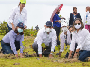 Medio Ambiente planta mil mangles y uvas, próximo a humedales en Nigua 