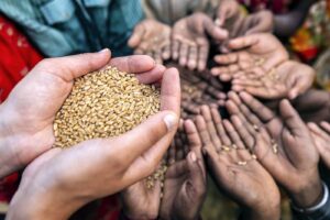 2020 dejó más de siete millones de personas en crisis alimentaria, según informe