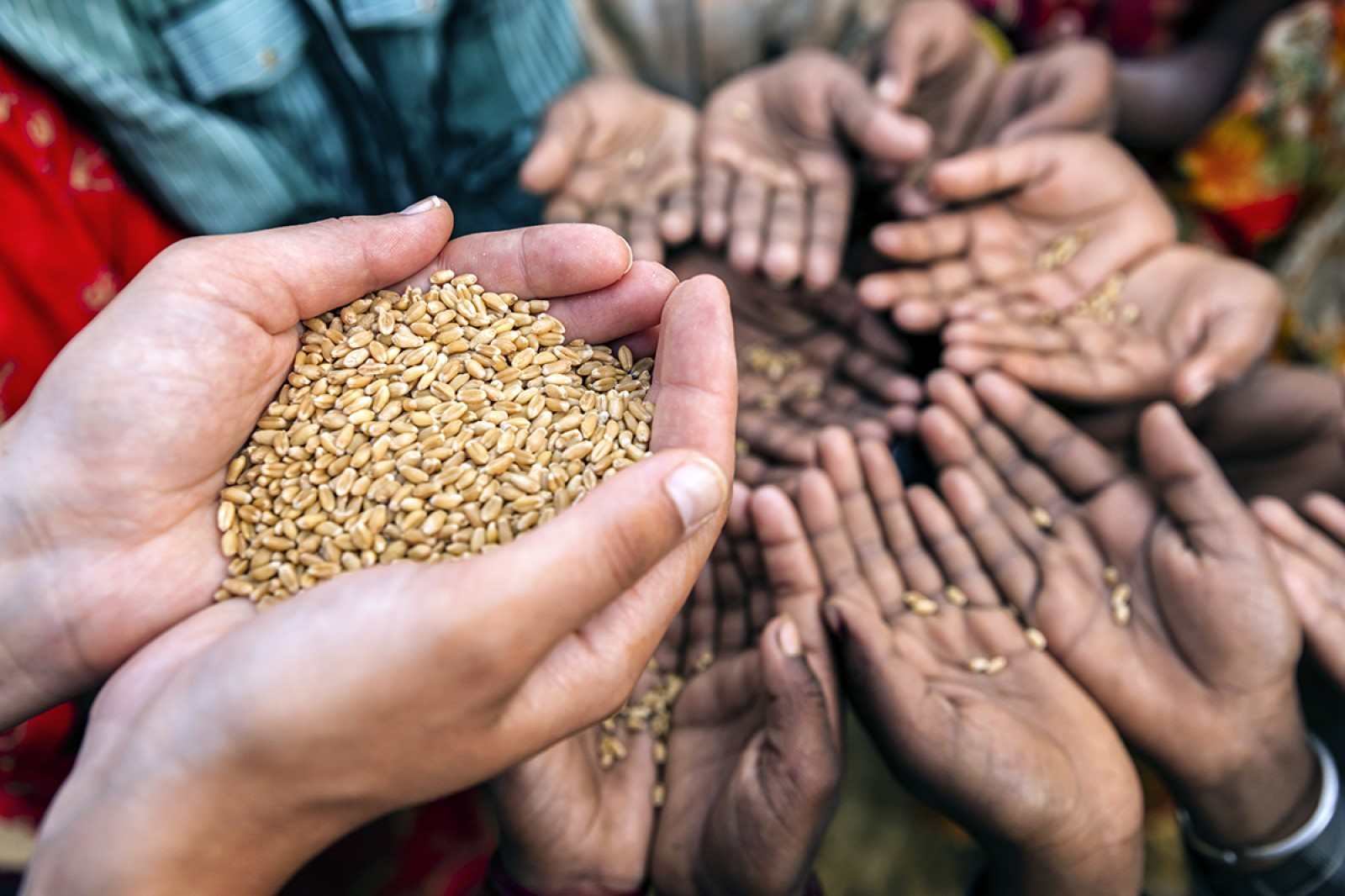2020 dejó más de siete millones de personas en crisis alimentaria, según informe