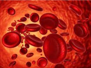 Se solicita con urgencia plasma A (+) para paciente COVID