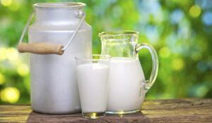 Este 1 de Junio se celebra el Día Mundial de la Leche