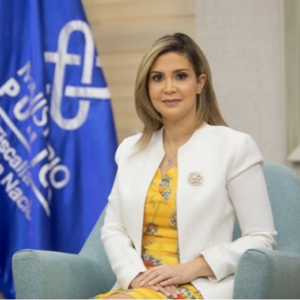 Rosalba Ramos dice delitos alta tecnología mueve más dinero que narcotráfico en RD