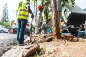 Inician proyecto construcción de aceras y contenes en Gazcue