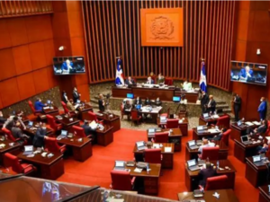 Superintendente de Pensione evade explicar a senadores reducción de fondos de febrero