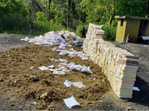 La Procuraduría incinera 1,200 kilos de distintas drogas 