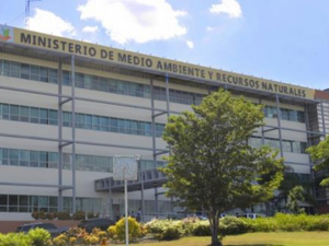  Medio Ambiente defiende desalojo de comercios en playa de Samaná  