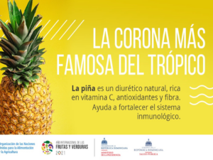  FAO lanza campaña para promover mejor nutrición a través de dietas saludables 