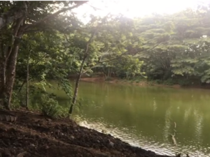 Piden investigar muerte de joven encontrado en una Laguna de Hato Mayor 