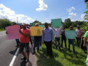 Porcicultores de Samaná protestan para evitar entrada de cerdos a la zona 