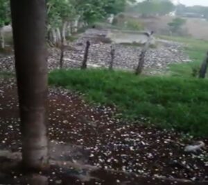 Fuerte granizada se registró en el municipio Loma de Cabrera en la provincia Dajabón durante los fuertes aguaceros en toda la zona