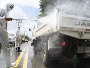Agropecuaria dominicana ha sido golpeada por distintas plagas durante 46 años 