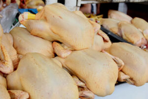Llegan a RD los primeros contenedores de pollo importado desde EE.UU