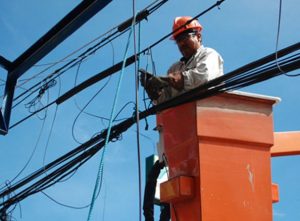 Sector social rechaza desmonte de subsidio a factura eléctrica