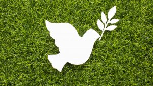 21 de septiembre: Día Internacional de la Paz