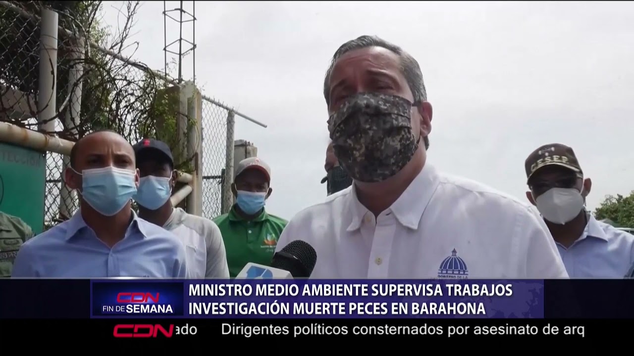 Medio Ambiente supervisa investigación muerte de peces en Barahona
