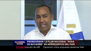 Promoverán la flor nacional “Rosa de Bayahíbe” en aeropuertos del país