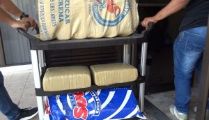 DNCD apresa tres con 120 libras de presunta marihuana en San Cristóbal 