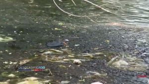 Ley Medio Ambiente tirada al zafacón en reciclaje desechos peligrosos