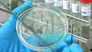 Brote gripal dispara ventas de antigripales en farmacias de la capital