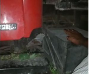 Muere joven al perder control camión que conducía en Pedernales   