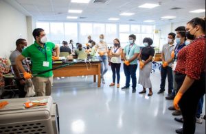 Barrick Pueblo Viejo capacita a estudiantes y profesionales sobre reptiles y anfibios 