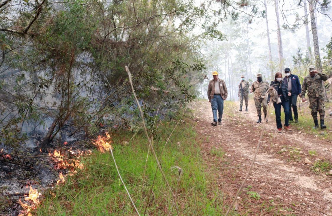 incendios forestales