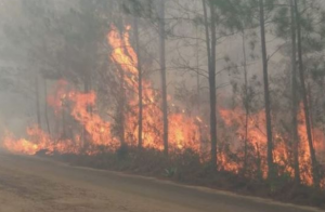Autoridades controlan incendio en parques nacionales   