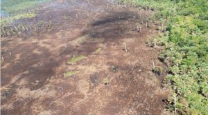 Sofocan incendio registrado en inmediaciones Aeropuerto Punta Cana