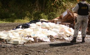Autoridades incineran 1,332 kilogramos de distintas drogas