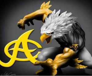Otros dos jugadores de Águilas Cibaeñas entran al protocolo Covid
