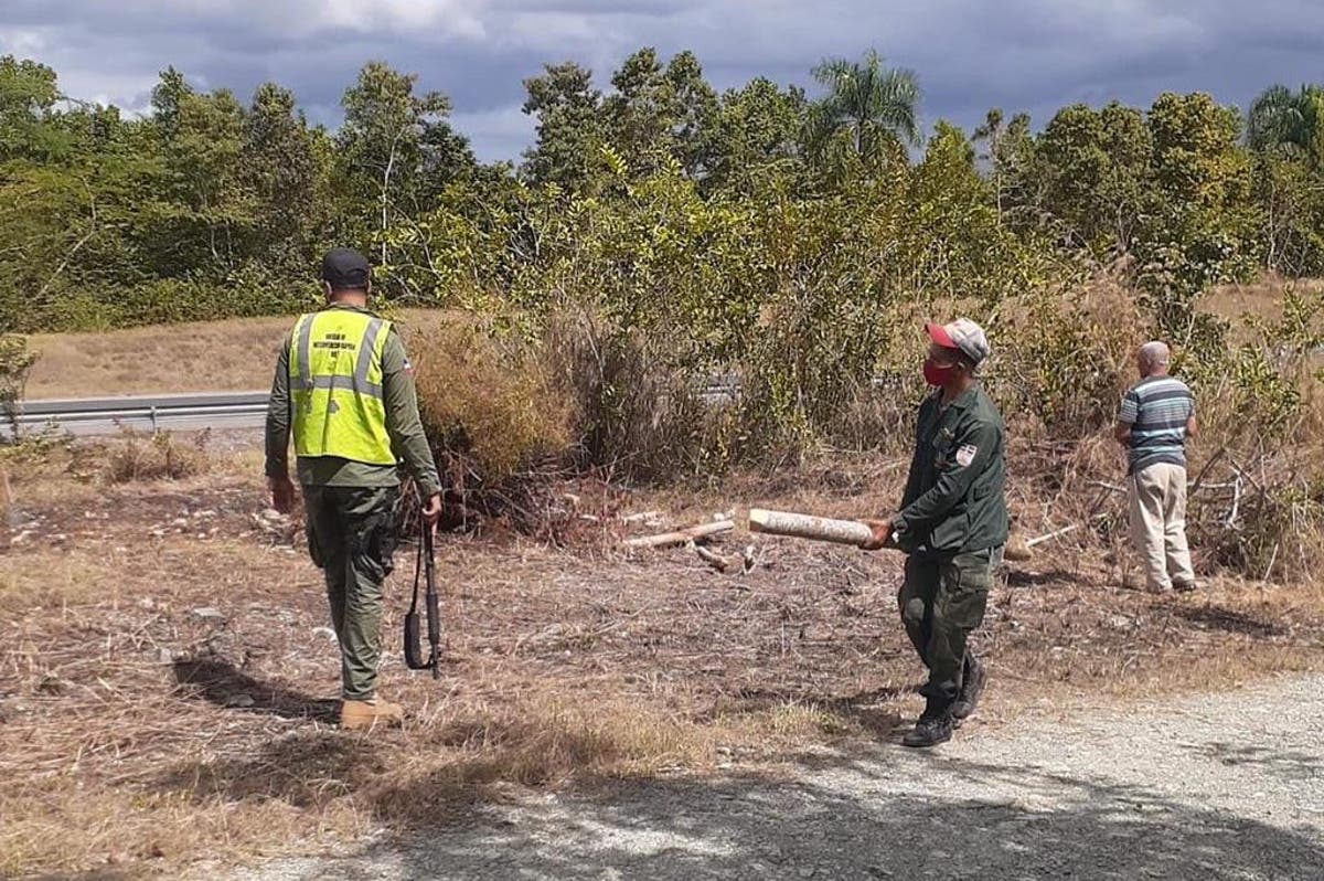 Medio Ambiente desaloja invasores en zona protegida del nordeste