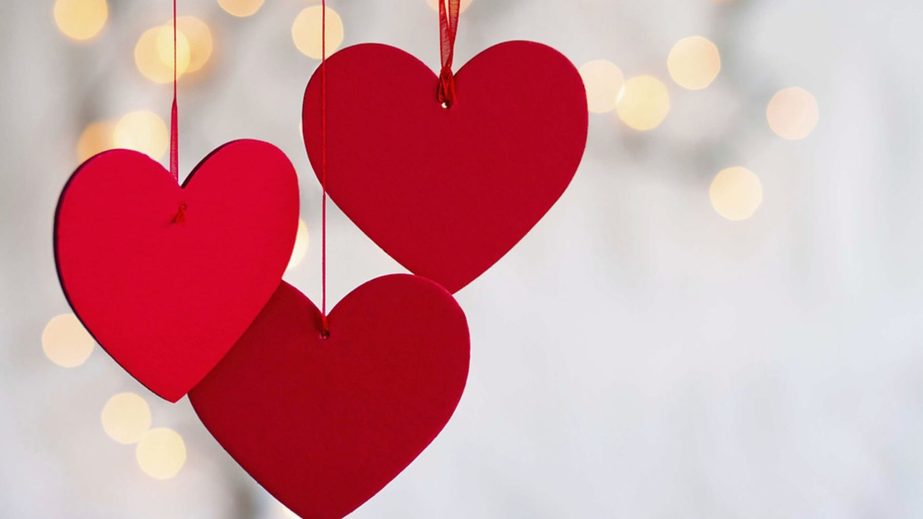 Mensaje de amor de los talentos de CDN para los seguidores de