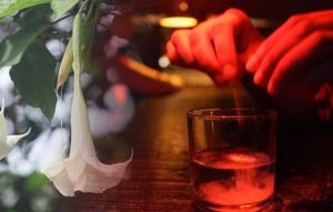 Acusan mujer de estafar a varios comerciantes utilizando la sustancia “burundanga”