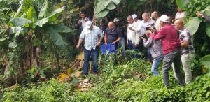 Realizan operativo de reforestación en parque MTS de Nagua